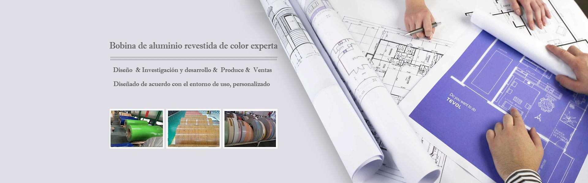 Color coated aluminum coil expert